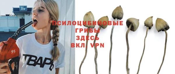 2c-b Балабаново