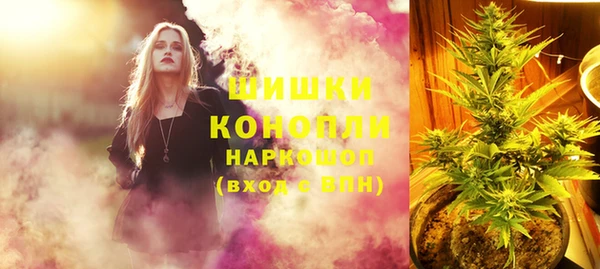 крисы Аркадак