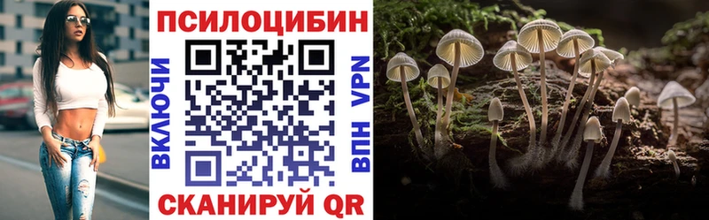 Псилоцибиновые грибы Psilocybe  Баксан 